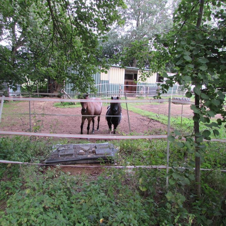 Ferienwohnung "Eifelstueffje" Mechernich Pokój zdjęcie